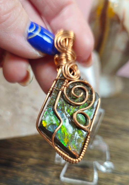 Ammolite Free Style