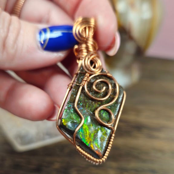 Ammolite Free Style